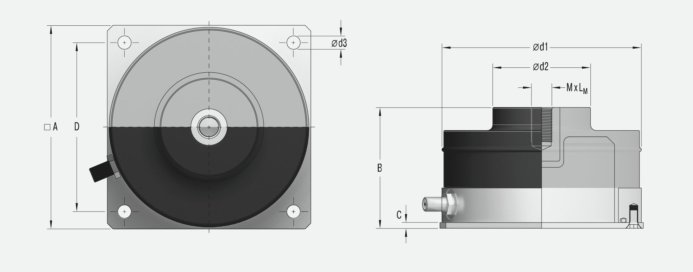 PLM-12